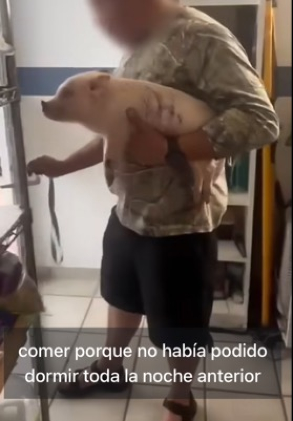 DENUNCIAN PRESUNTA NEGLIGENCIA DE VETERINARIO DE TLALTENANGO