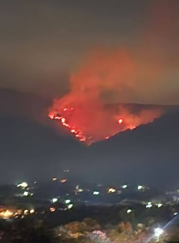 COMBATEN INCENDIO FORESTAL EN SANTO DOMINGO OCOTITLÁN